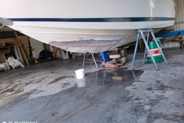 IMG_20240610_100510_486