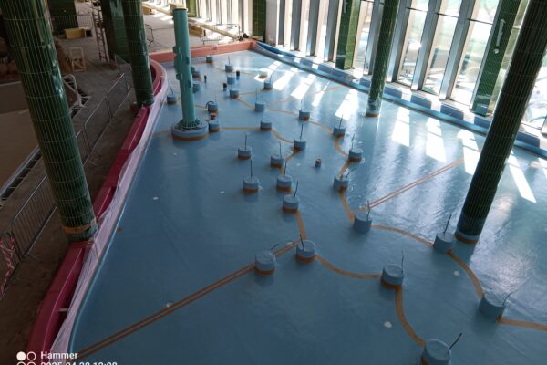 IMG_20250428_120812_784